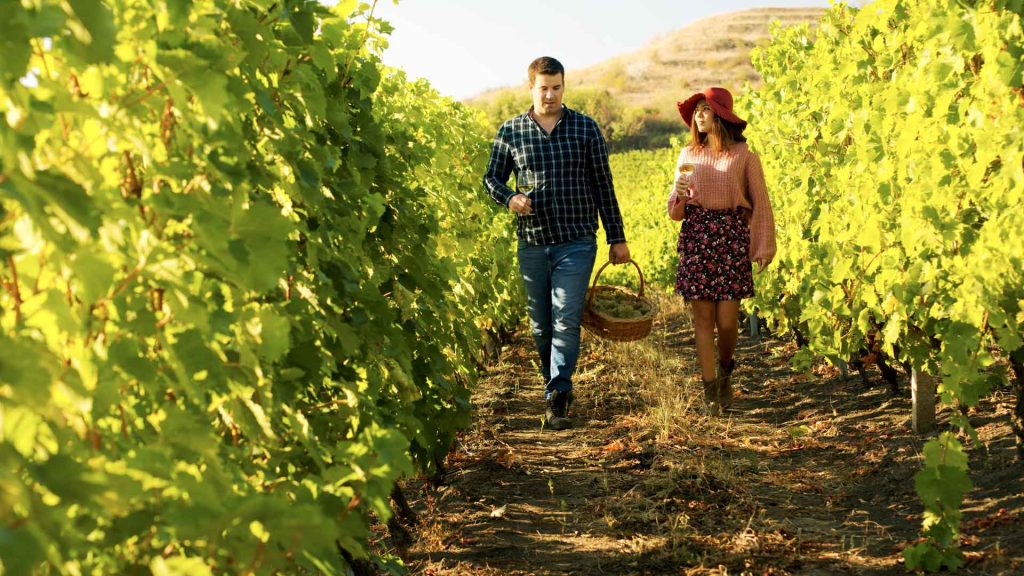 seattle washington wine tours